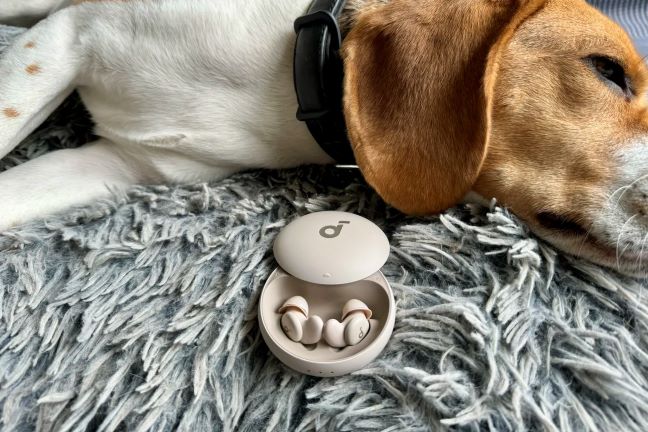 一只小猎犬躺在它的毛绒睡垫上，前景中的耳机盒中显示了 Soundcore Sleep A20 耳塞