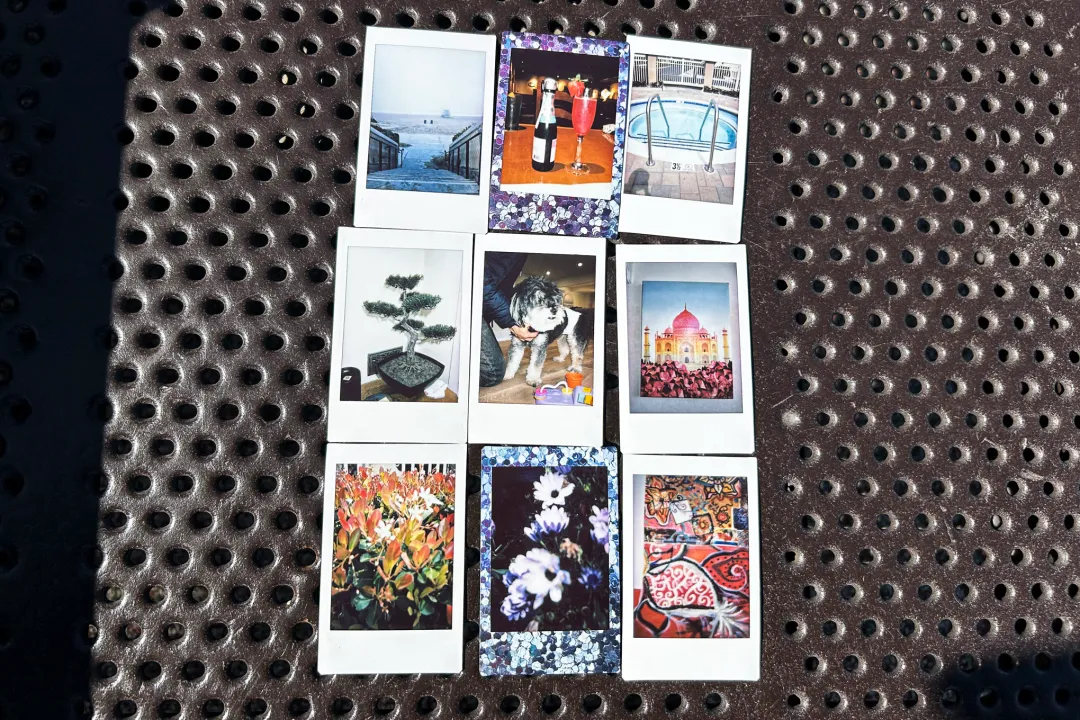 富士 Instax Mini 12 拍摄了动物、自然、艺术和饮料的照片。