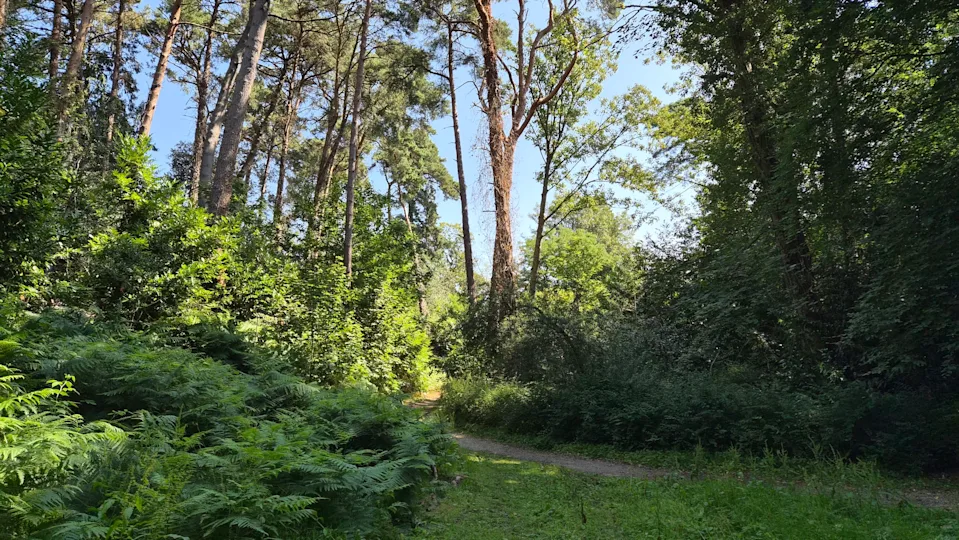 Galaxy Z Flip 7 测评