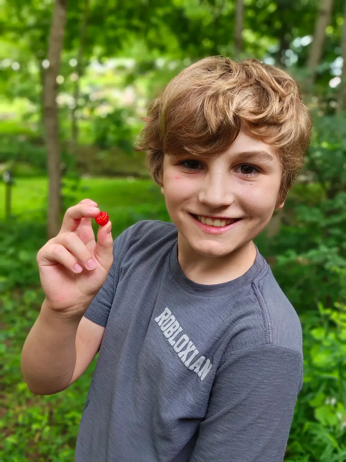 摩托罗拉 Razr Plus 2025 拍摄的照片样本