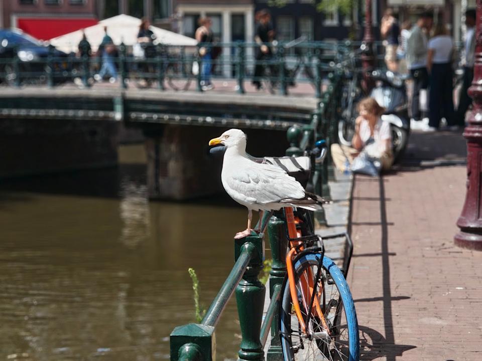 使用 Nothing Phone 3 拍摄的图像 4。