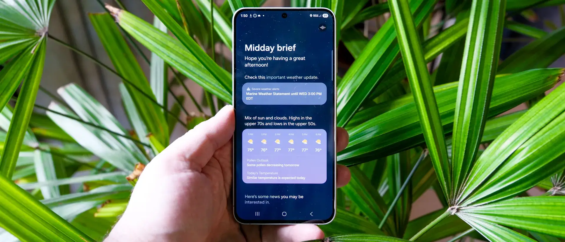 手持三星 Galaxy S25 FE，身后长着绿色的长叶