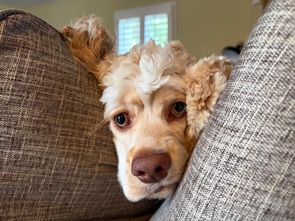这里的毛皮和编织面料具有丰富的纹理。