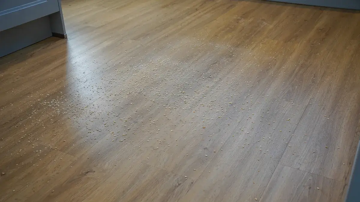 吸力测试前在木地板上放置燕麦