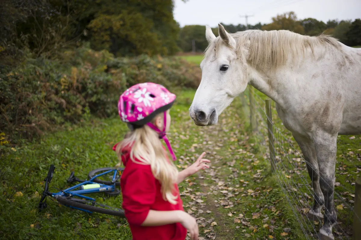徕卡 M EV1 样片集：女孩喂马草
