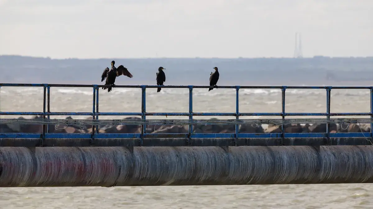 使用 Panasonic Lumix S 100-500mm F5-7.1 OIS 镜头拍摄的照片