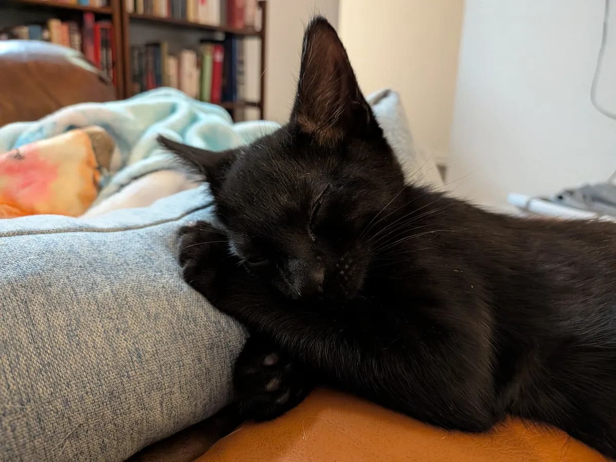 使用 Google Pixel 10 Pro Fold 拍摄的照片