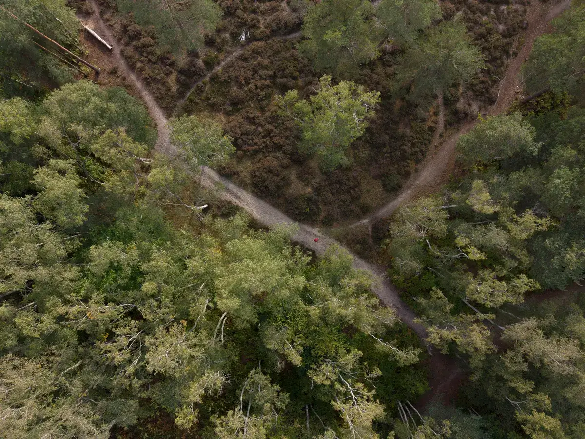 DJI Mini 5 Pro 样张：林地鸟瞰图