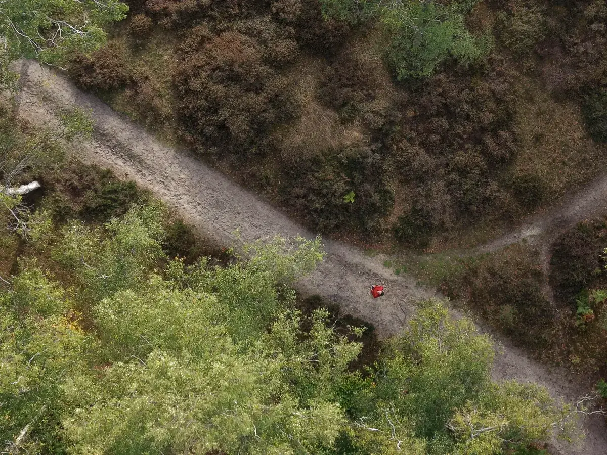 DJI Mini 5 Pro 样张：3倍数码变焦下的林地鸟瞰图