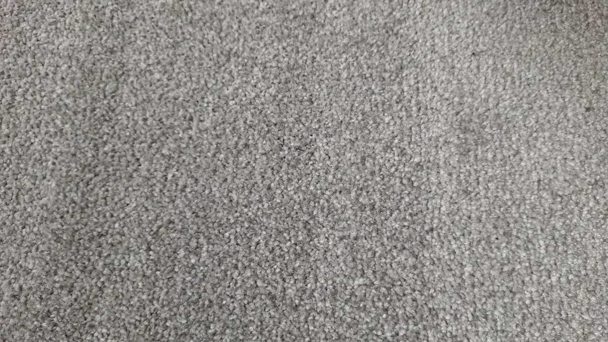 吸力测试后的地毯