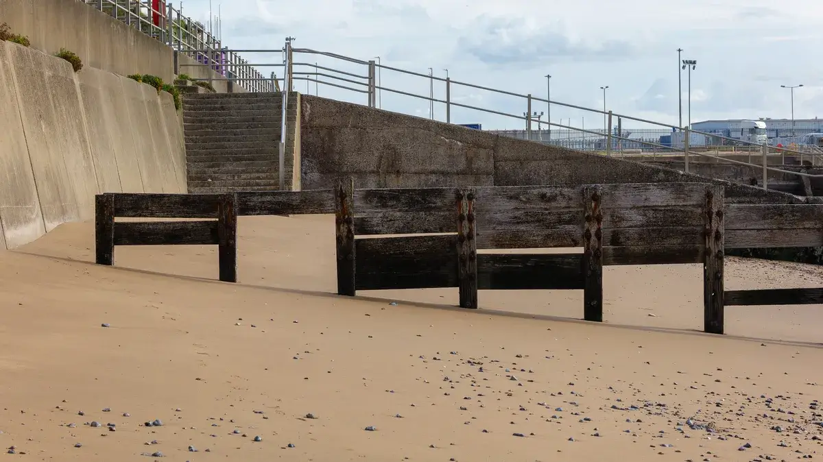 使用 Panasonic Lumix S 100-500mm F5-7.1 OIS 镜头拍摄的照片