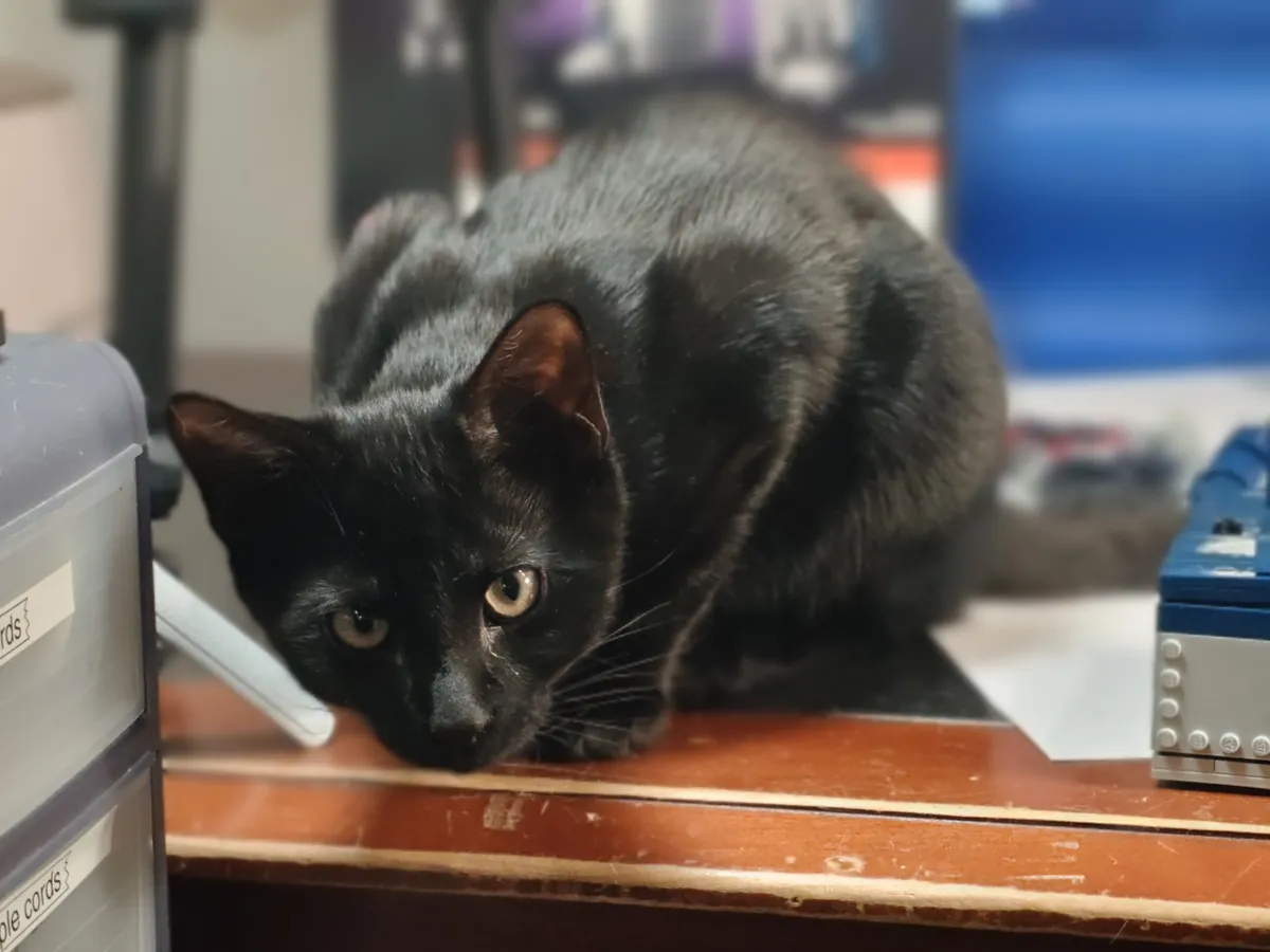 使用 OnePlus 15 拍摄的相机图像样张