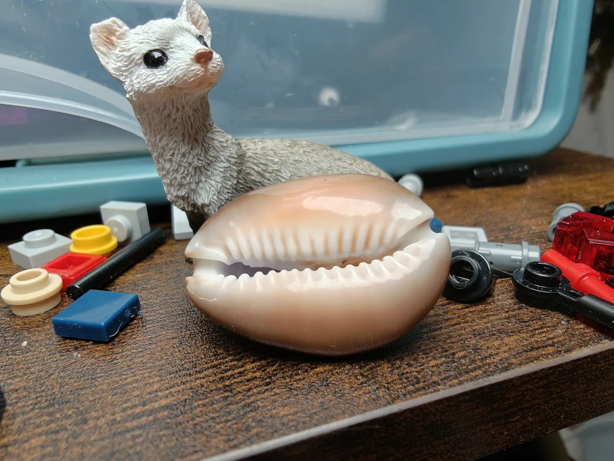 使用 OnePlus 15 拍摄的相机图像样张