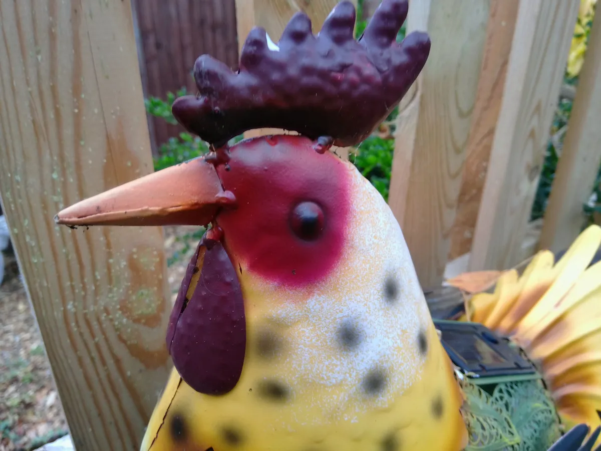 柯达 PixPro C1 样张