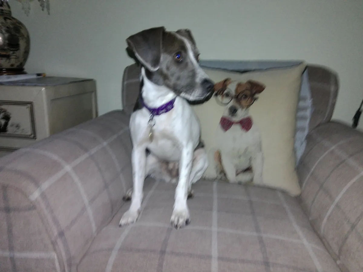 柯达 PixPro C1 样张