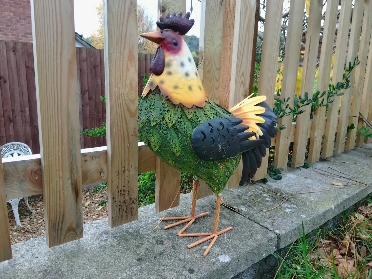 柯达 PixPro C1 样张